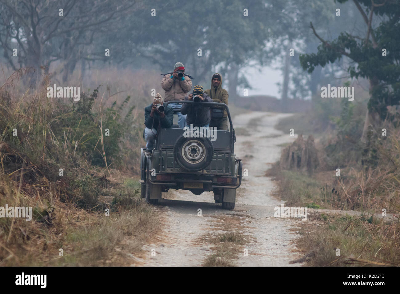 Safari en Jeep pour observer la faune dans la région de Jim Corbett National Park, Ramnagar, Uttarakhand, Inde. Banque D'Images