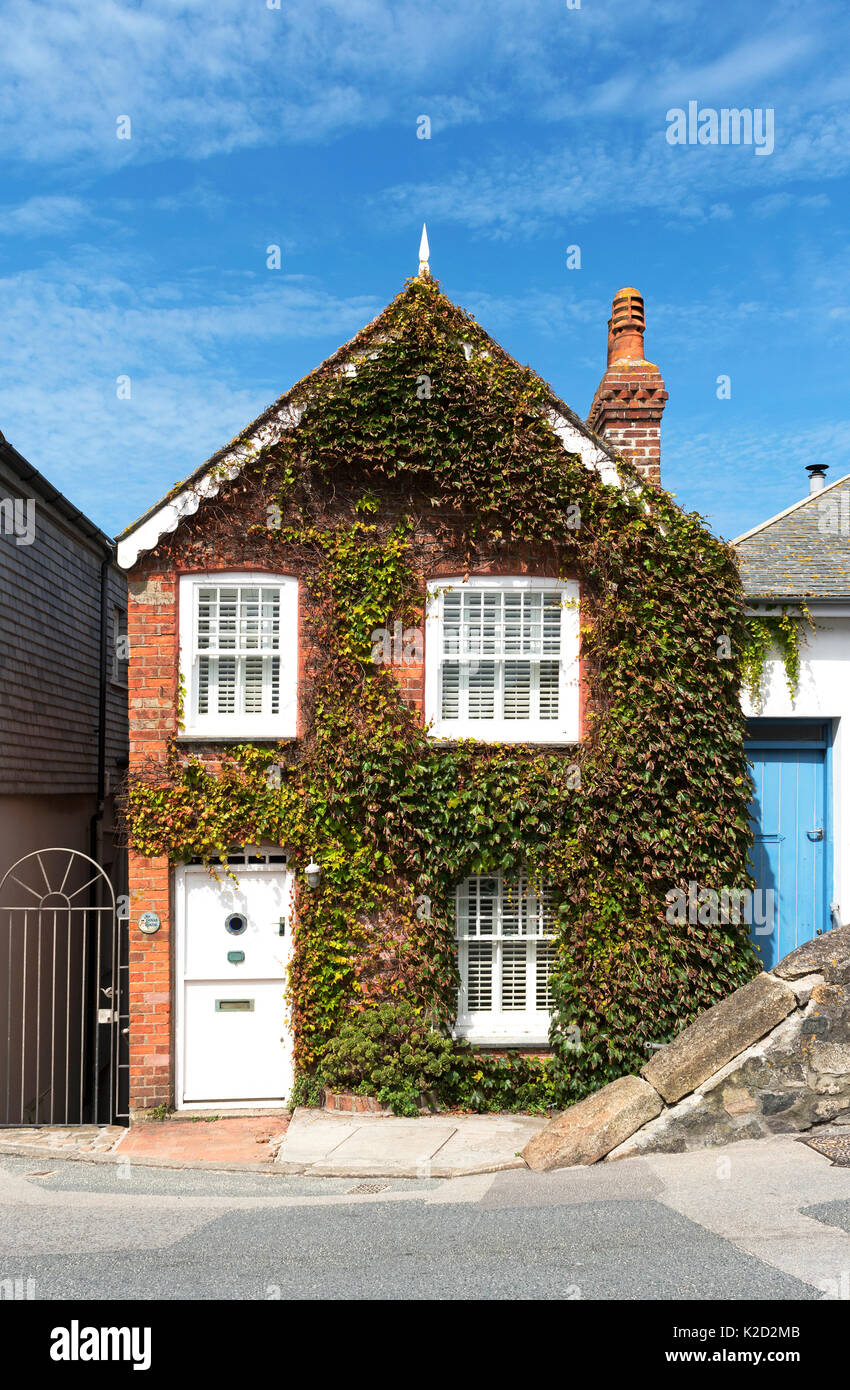 Une maison couverte de lierre accueil à st.ives, Cornwall, England, UK. Banque D'Images