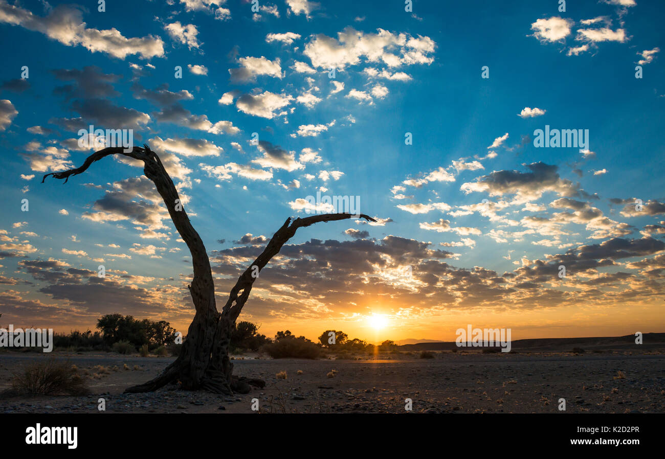 Lever du soleil paysage de Sossusvlei, Namibie, juillet 2014. Banque D'Images