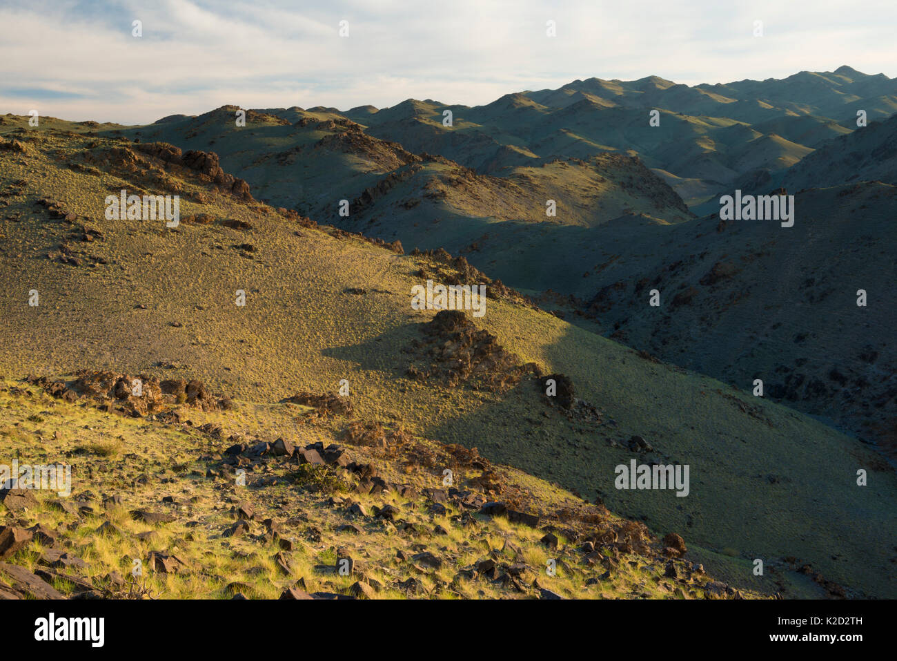 Khavtsgait,Montagne pétroglyphes de Gobi, Govi Gurvan Saikhan Umnugovi National Park, province du Sud, la Mongolie. Juin 2015. Banque D'Images
