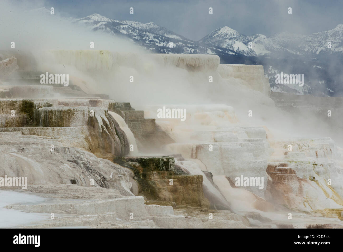 Paysage de l'Old Faithful Geyser, Yellowstone, Wyoming, USA, février. Banque D'Images