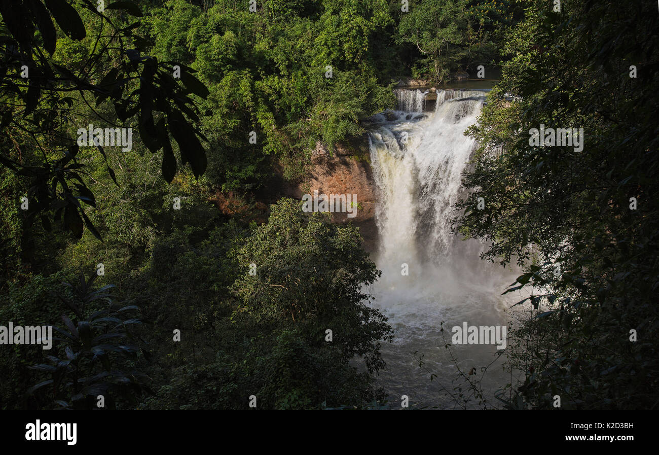 Heo Suwat Cascade, parc national Khao Yai, Thaïlande, octobre 2013. Banque D'Images