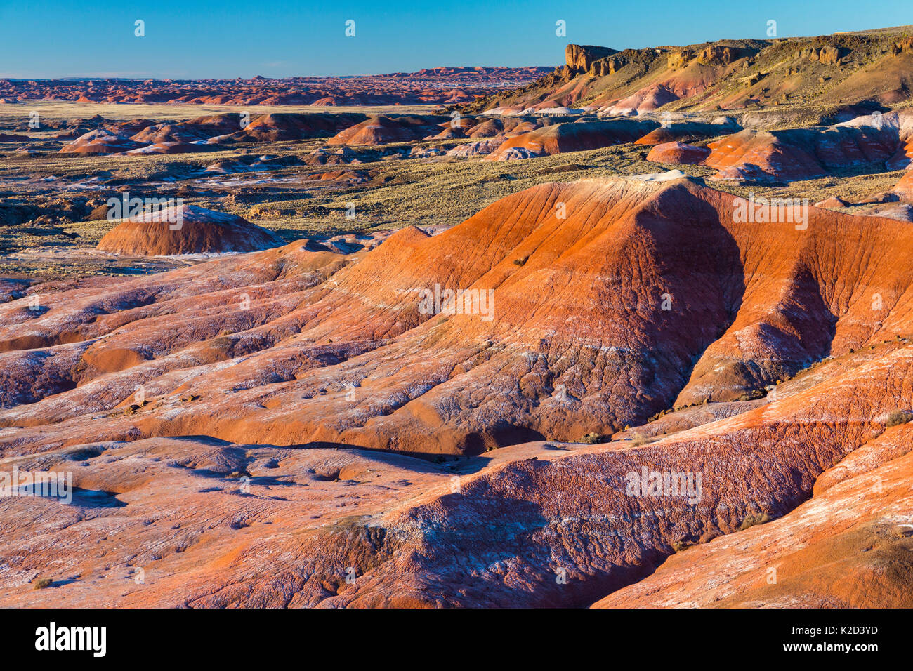 Badlands colorés, Parc National de la Forêt Pétrifiée, Arizona, USA, février 2015. Banque D'Images