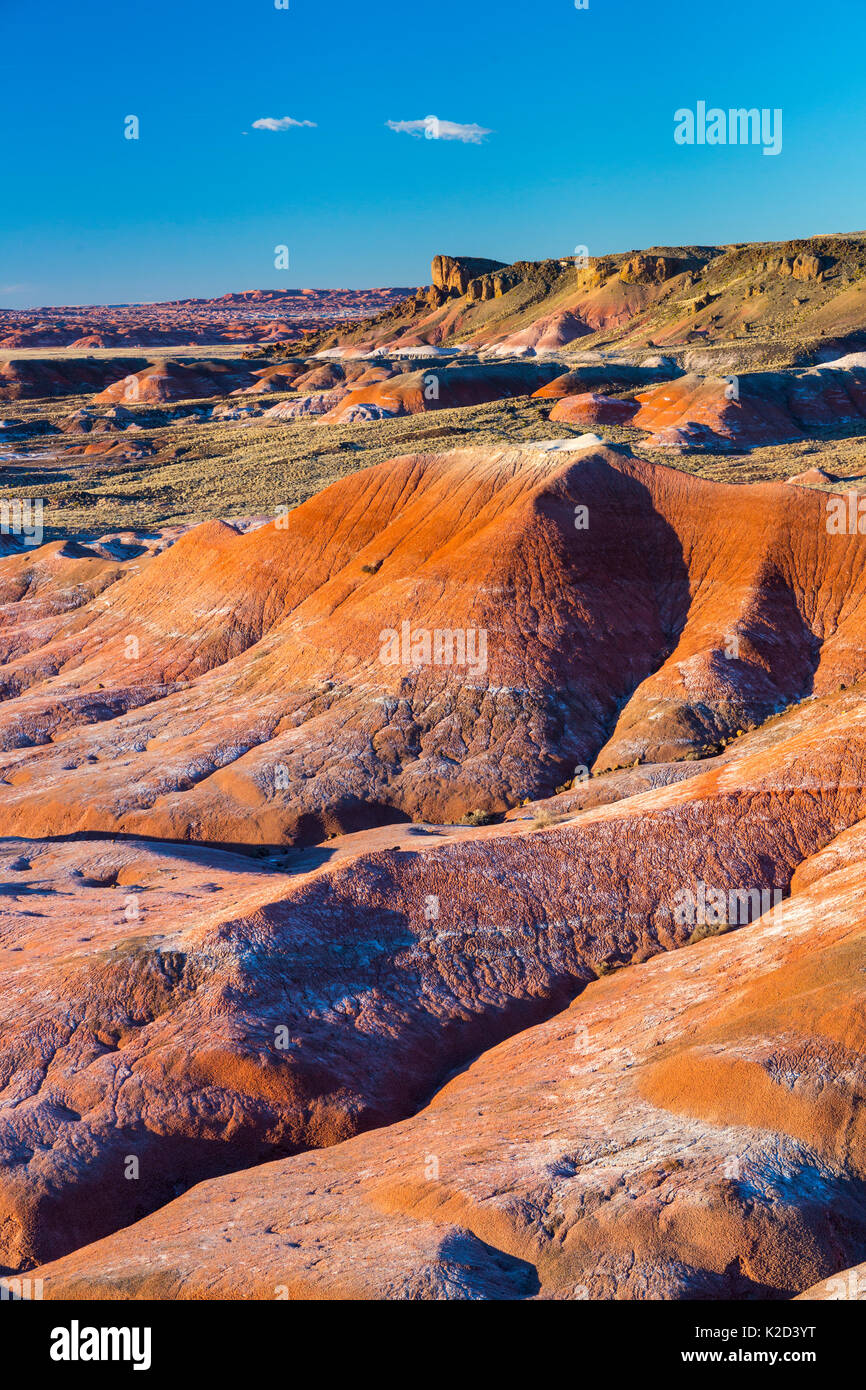 Badlands colorés, Parc National de la Forêt Pétrifiée, Arizona, USA, février 2015. Banque D'Images