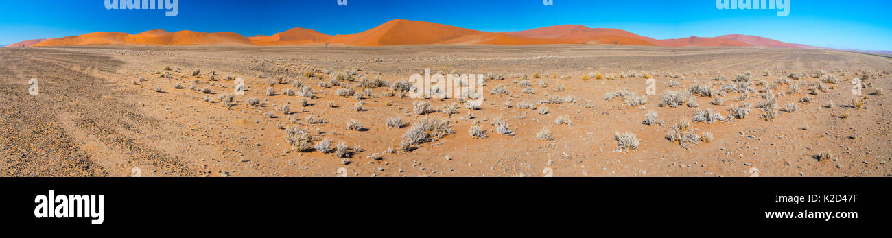 Les dunes de sable, Namib-Naukluft National Park, Namibie, Afrique, juin 2015. Banque D'Images