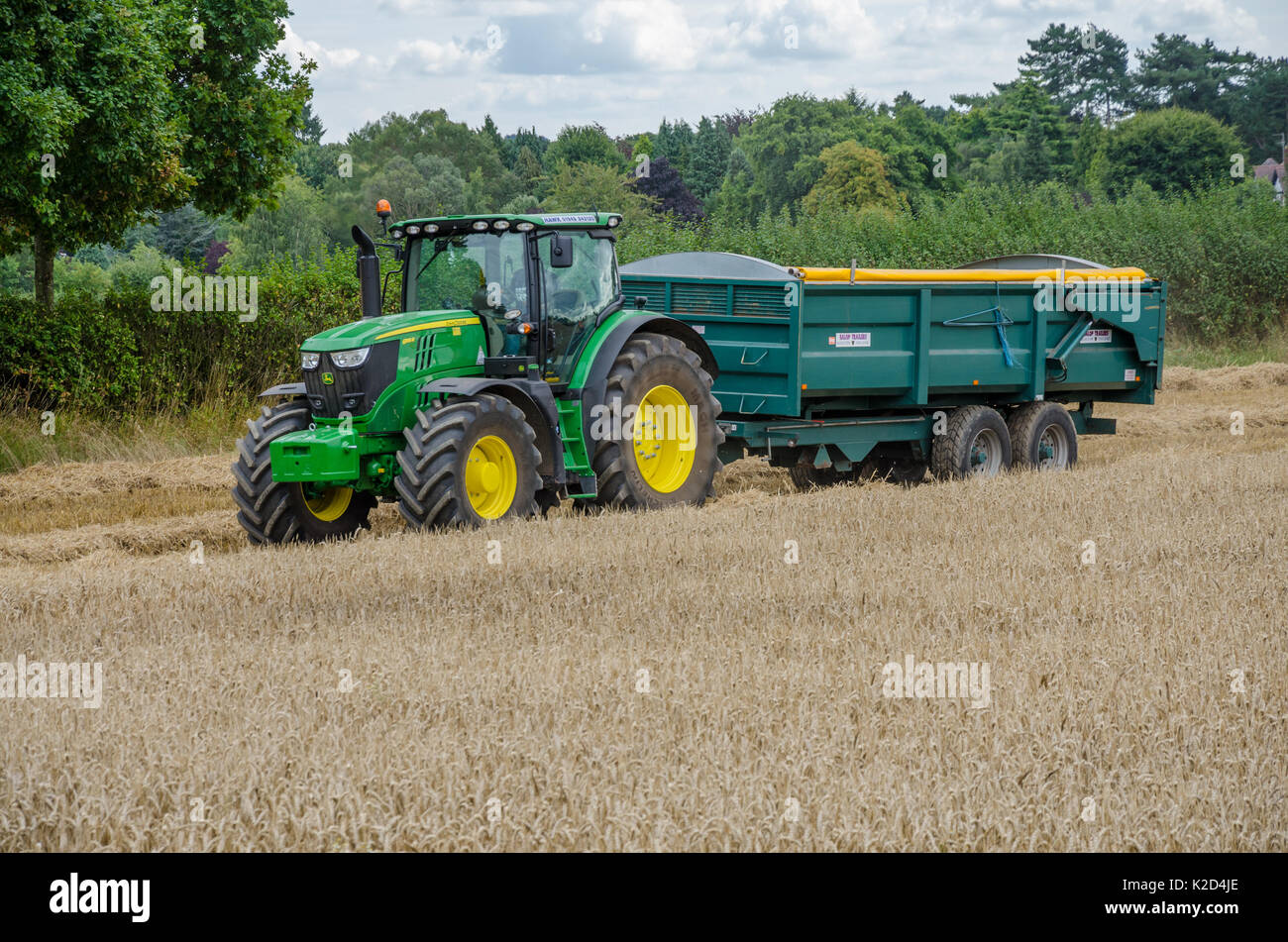 Un tracteur John Deer vert tracte une remorque autour du bord d'un champ de blé récolté en partie. Banque D'Images