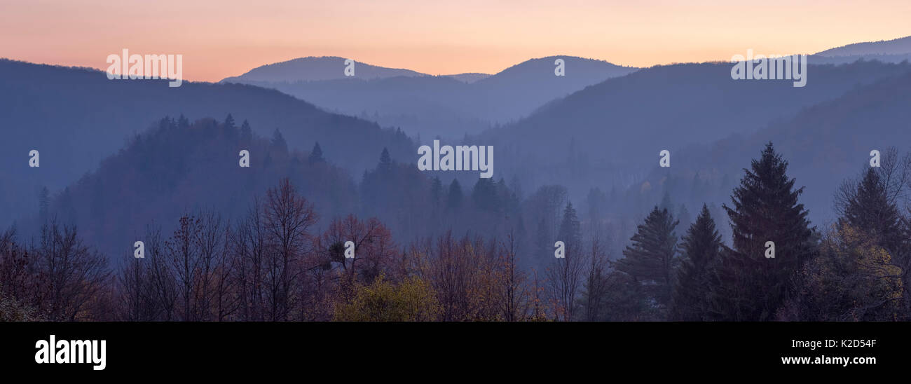 La recherche à travers les forêts du parc national des Lacs de Plitvice, au crépuscule, en Croatie. Novembre 2015. Panorama cousus numériquement. Banque D'Images