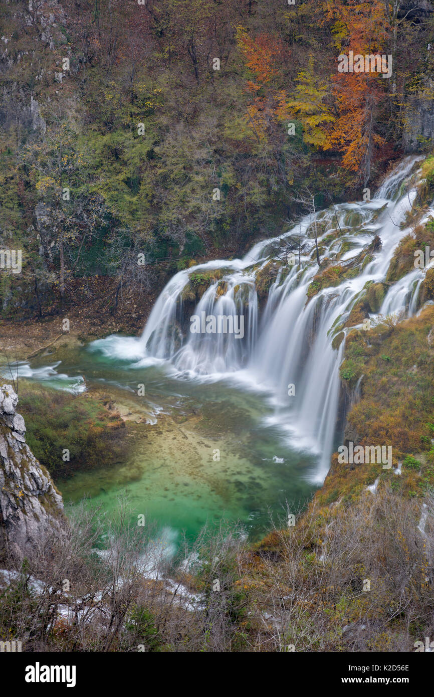 Série de cascades connu sous le astavci » qui cascade entre les lacs de montagne, le parc national des Lacs de Plitvice, Croatie. Novembre. Banque D'Images