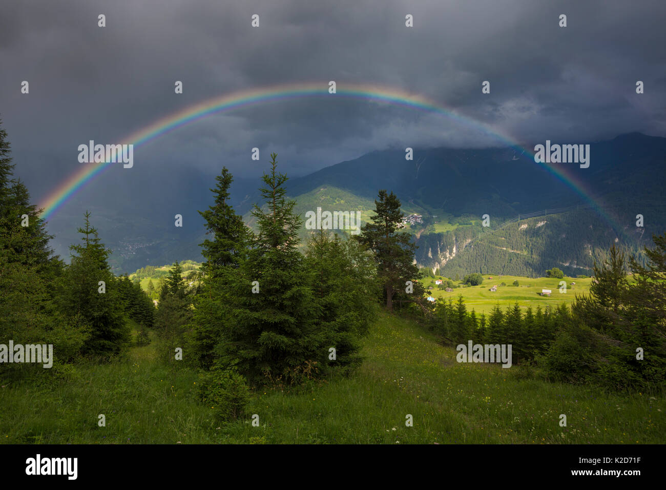 Arc-en-ciel au-dessus de prairies alpines, Nordtirol, Alpes autrichiennes. De juin. Banque D'Images