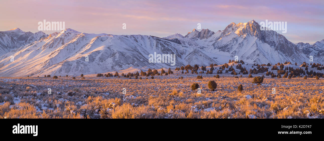 Lever du soleil sur le mont Morrison au loin, près de Convict Lake, la Sierra Nevada, en Californie, USA Janvier Banque D'Images