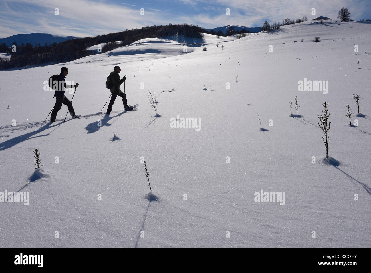 Deux hommes de la raquette dans l'Apennin Central rewilding, Italie, novembre 2013. Banque D'Images