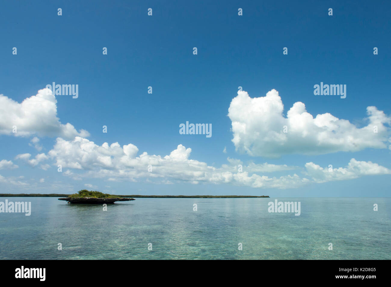 Le lagon d'Aldabra avec 'mcorail champignon', Site du patrimoine mondial naturel d'Aldabra, 2005 Banque D'Images