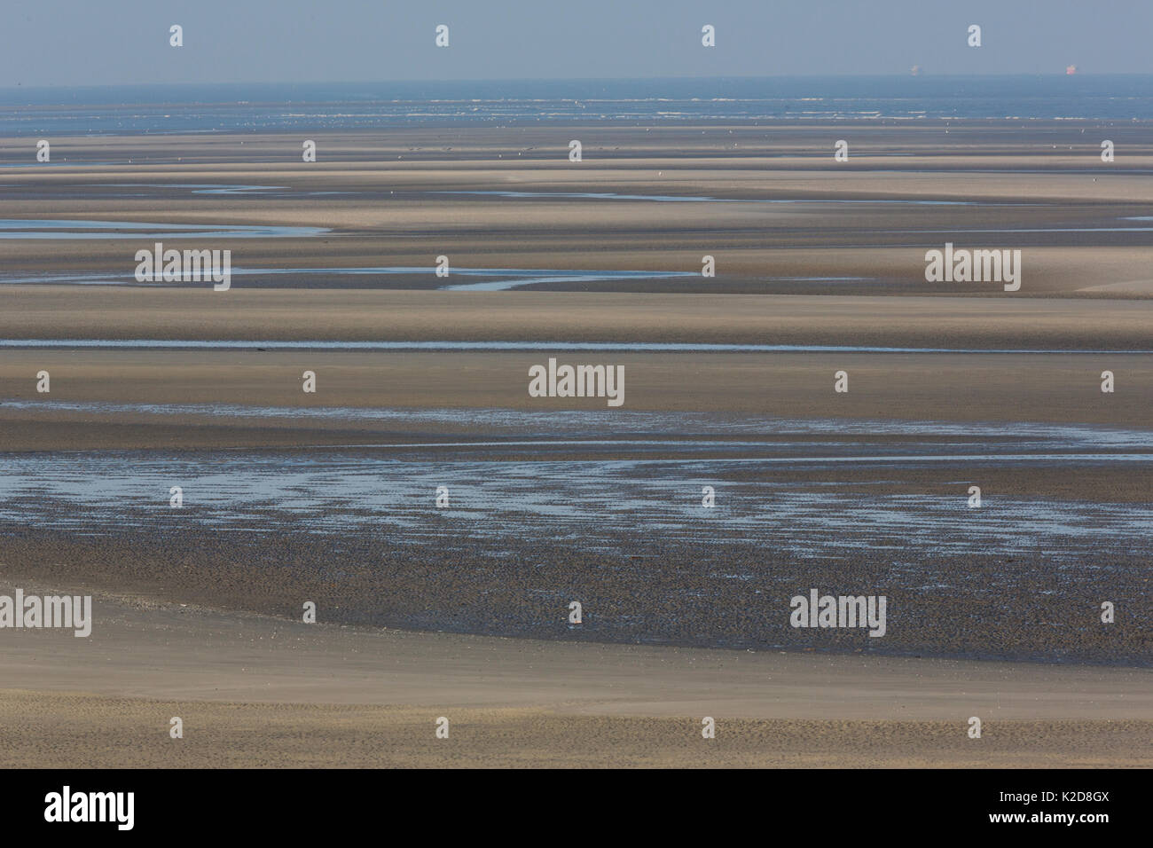 Paysage de plage dans la réserve naturelle de la Baie de Somme, Picardie, France, Avril Banque D'Images
