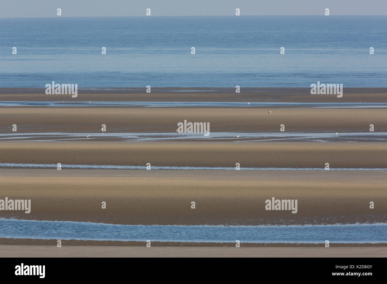 Paysage de plage dans la réserve naturelle de la Baie de Somme, Picardie, France, Avril Banque D'Images