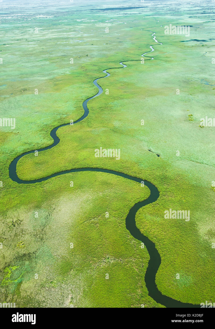 Vue aérienne de méandres Ngoga channel qui est dans le Delta de l'Okavango, Botswana 2011 marais Banque D'Images