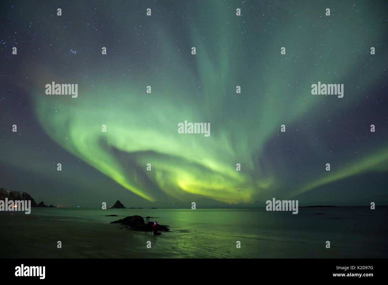 Northern Lights montrant au-dessus de plage près de Bleiksoya Bird Island près de Andenes, île Andoya, Nord de l'océan Atlantique, de la Norvège, janvier 2016 Banque D'Images