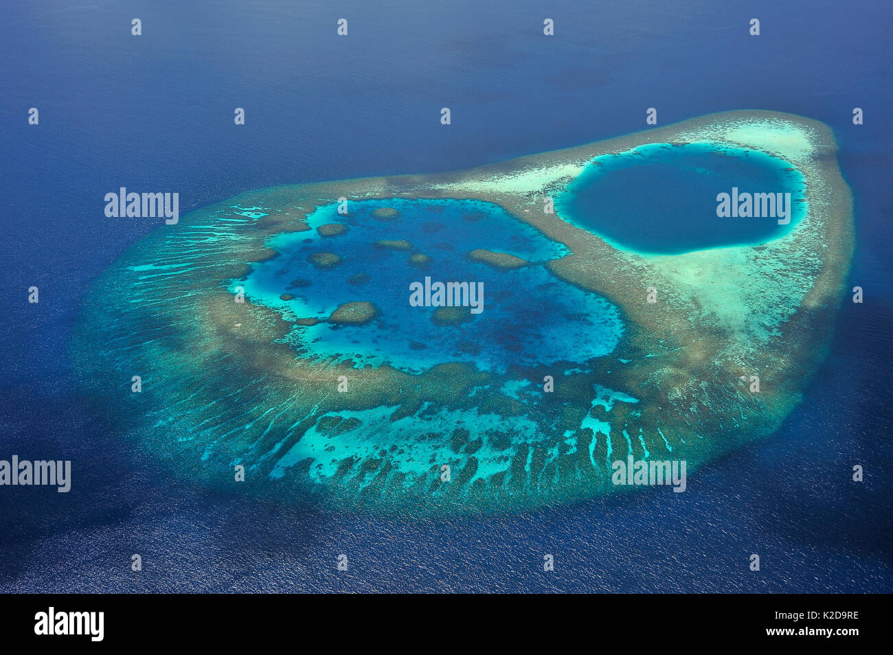 Vue aérienne de la barrière de corail qui s'appuie une lagune dans l'atoll, Maldives, océan Indien Banque D'Images