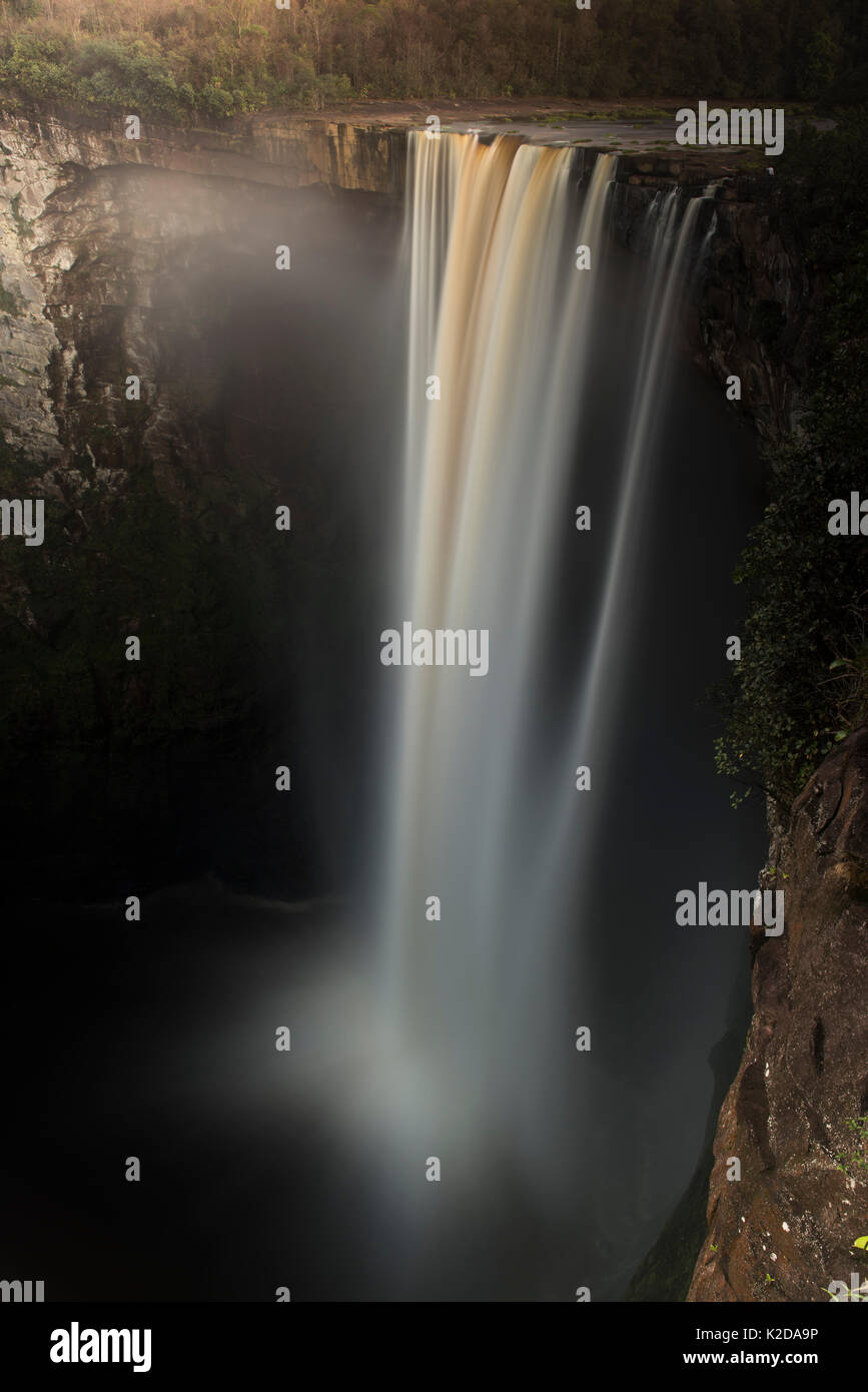 Kaieteur Falls est la plus grande cascade chute unique, situé sur le fleuve Potaro dans le parc national de Kaieteur, Ker, Guyana, en Amérique du Sud Banque D'Images