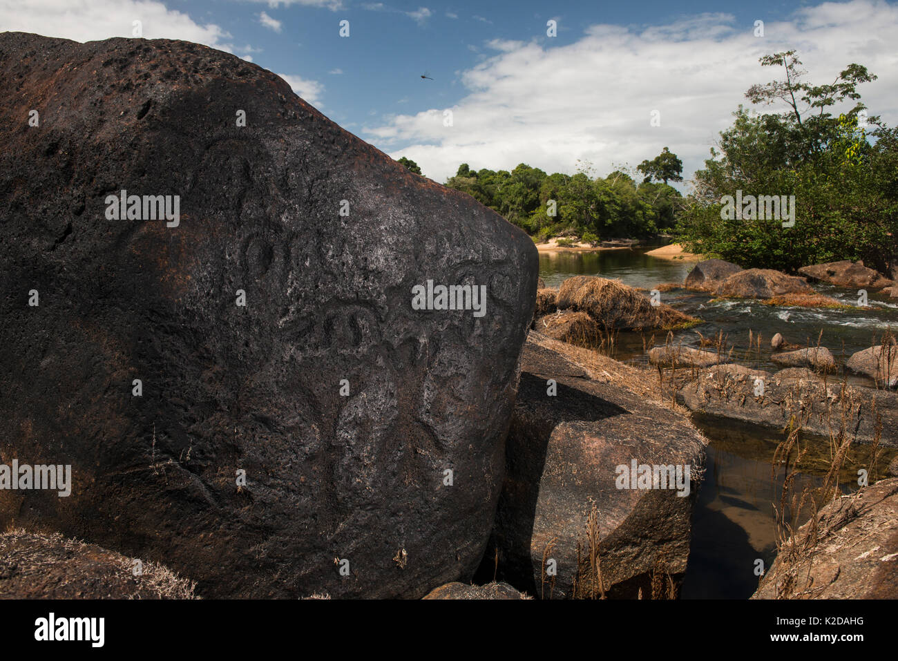 D'anciens pétroglyphes sur rocher boulder par fleuve Essequibo, réserve d'Iwokrama, Guyana, en Amérique du Sud Banque D'Images