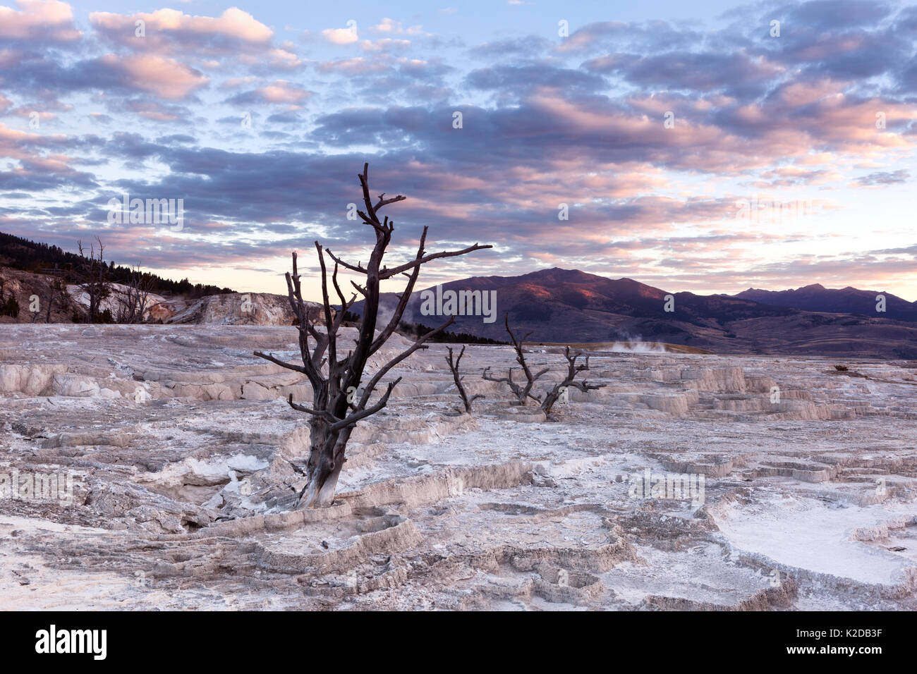 Lever du soleil à Mammoth Hot Springs, Parc National de Yellowstone, Wyoming, USA. Septembre 2015. Banque D'Images