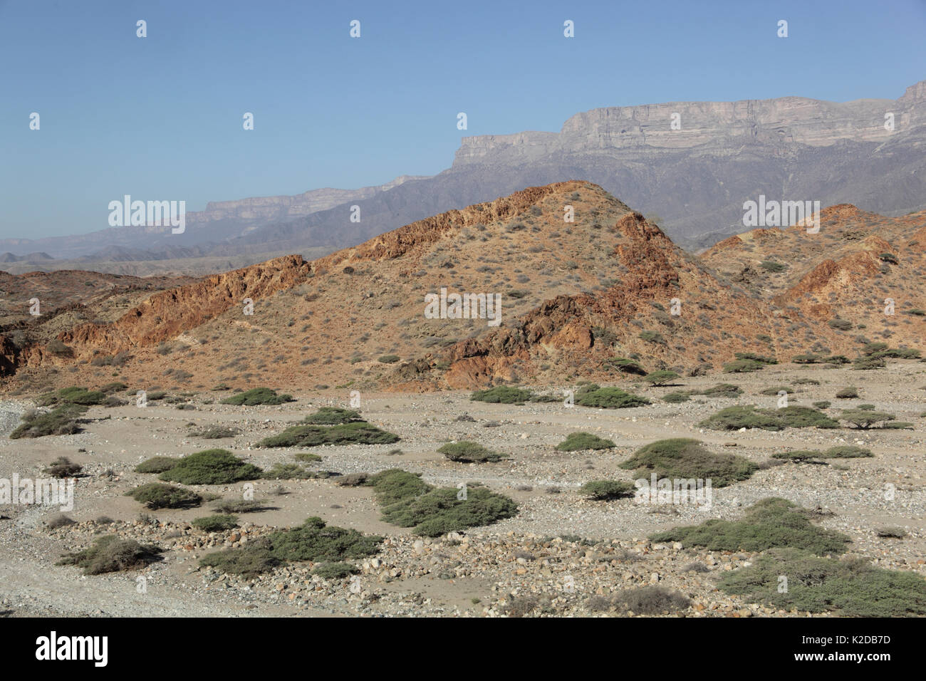 Jabal Samhan, montagnes et wadi (lit de rivière à sec), Oman, décembre Banque D'Images