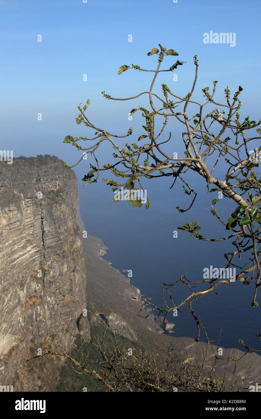 Falaises côtières à Shaat dans le sud d'Oman, novembre 2012. Banque D'Images