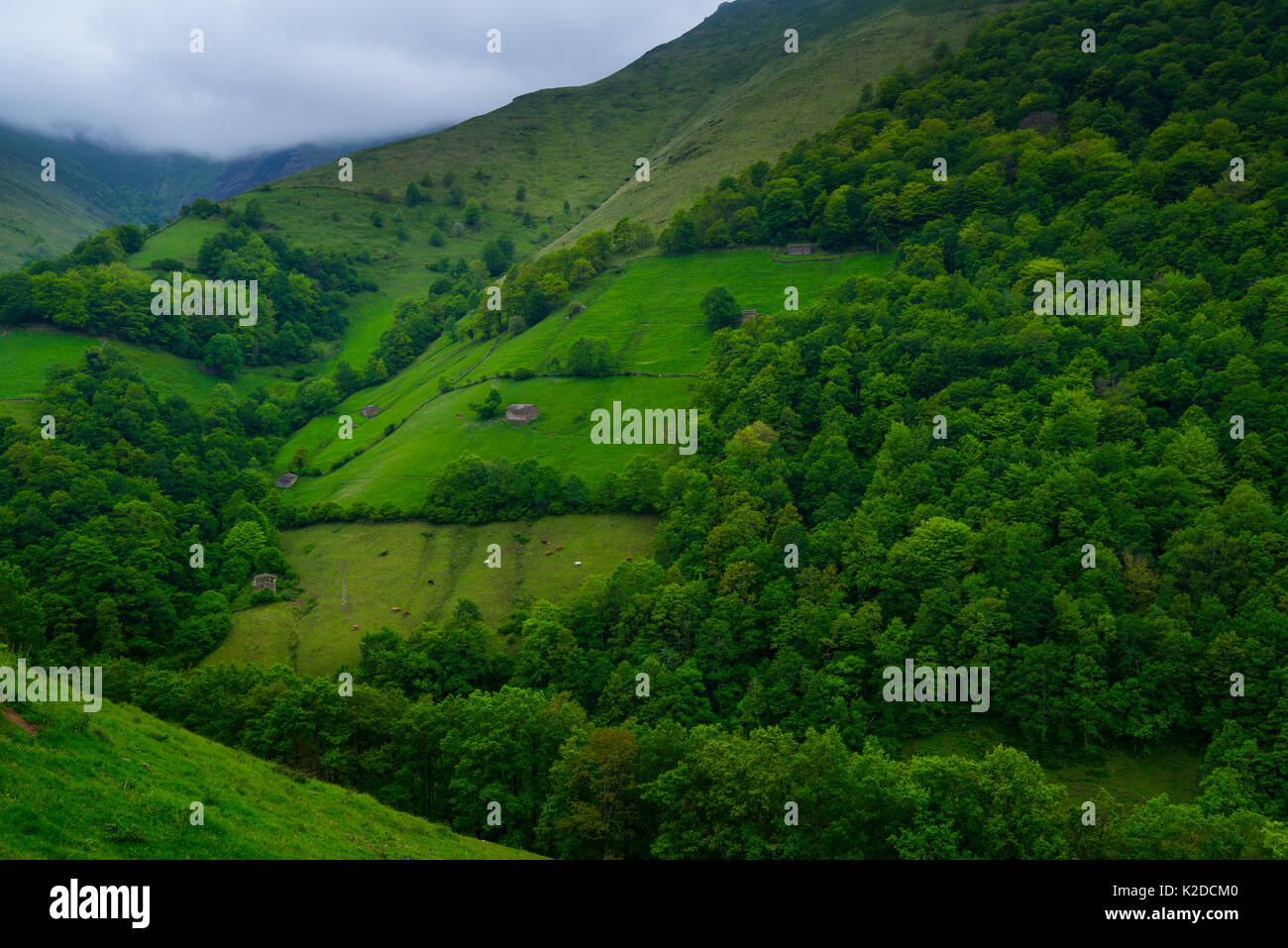 Au-dessus de colline dans la brume de la Engana Tuneles, Vega de Pas, Valles Pasiegos, Cantabria, Espagne, Europe. Mai 2015. Banque D'Images