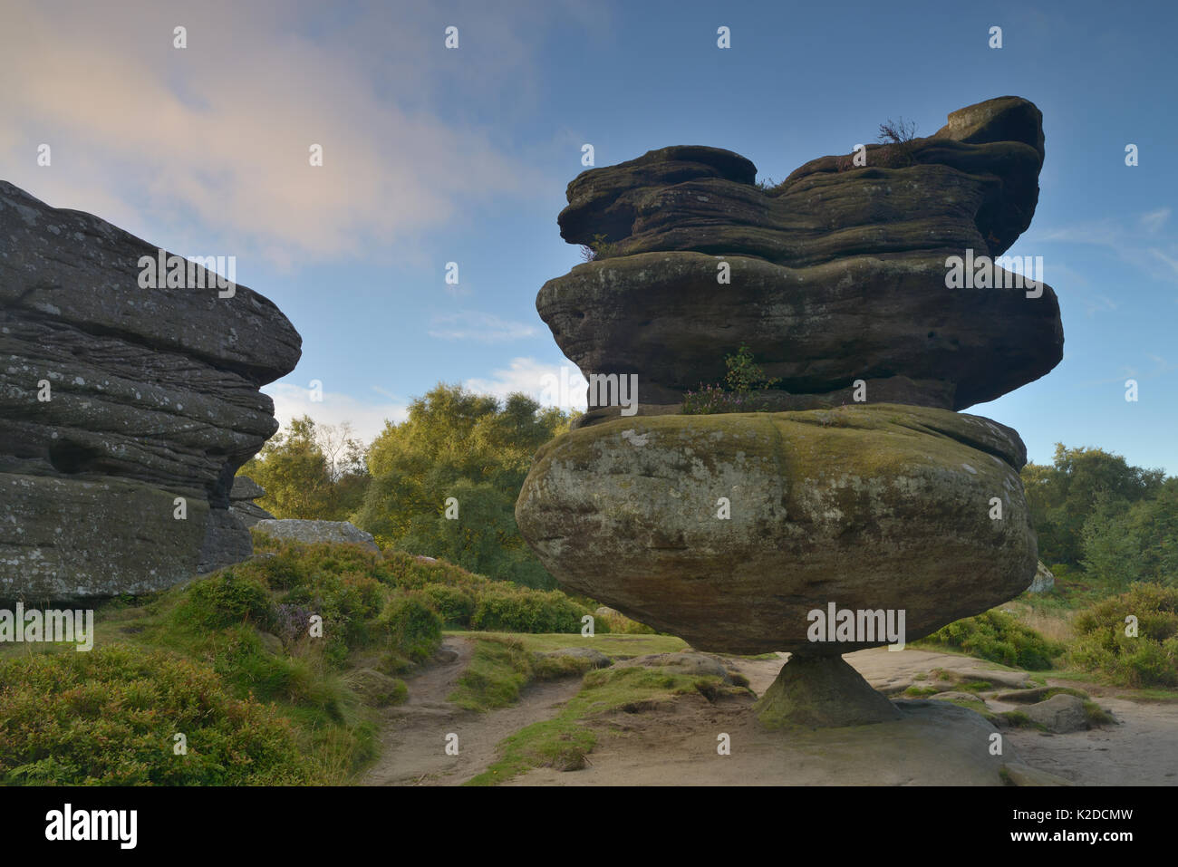 Brimham rocks dans la Nidderdale Région de North Yorkshire, Angleterre, Royaume-Uni. Août 2015. Banque D'Images