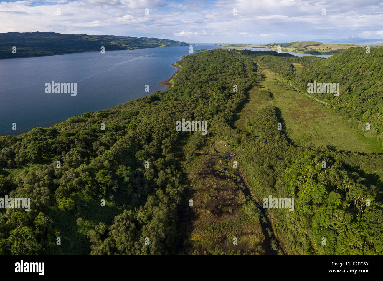 Vue aérienne surplombant Taynish National National Nature Reserve et à Loch Sween, Argyll and Bute, Ecosse, Royaume-Uni, juin 2016. Banque D'Images