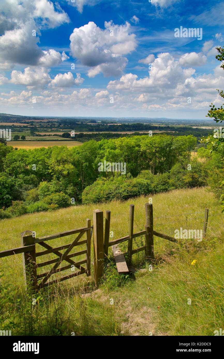 Stile et sentier, Essendine Nowers réserve naturelle, les Chilterns, Hertfordshire, Royaume-Uni, Juillet 2016 Banque D'Images