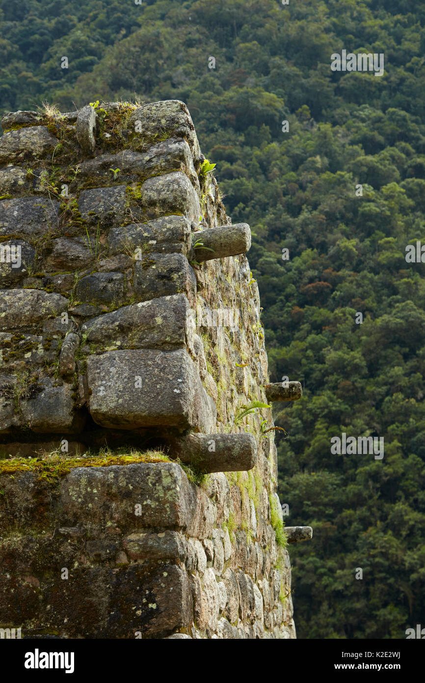 Détails de la pierre à Cachabamba, sur le court de l'Inca vers le Machu Picchu, le Pérou, Amérique du Sud Banque D'Images