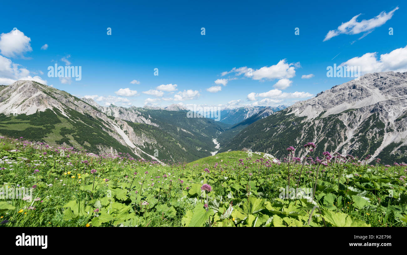 Alpes d'Allgäu, vue d'une vallée, Bad Hindelang, Allgäu, Bavière, Allemagne Banque D'Images