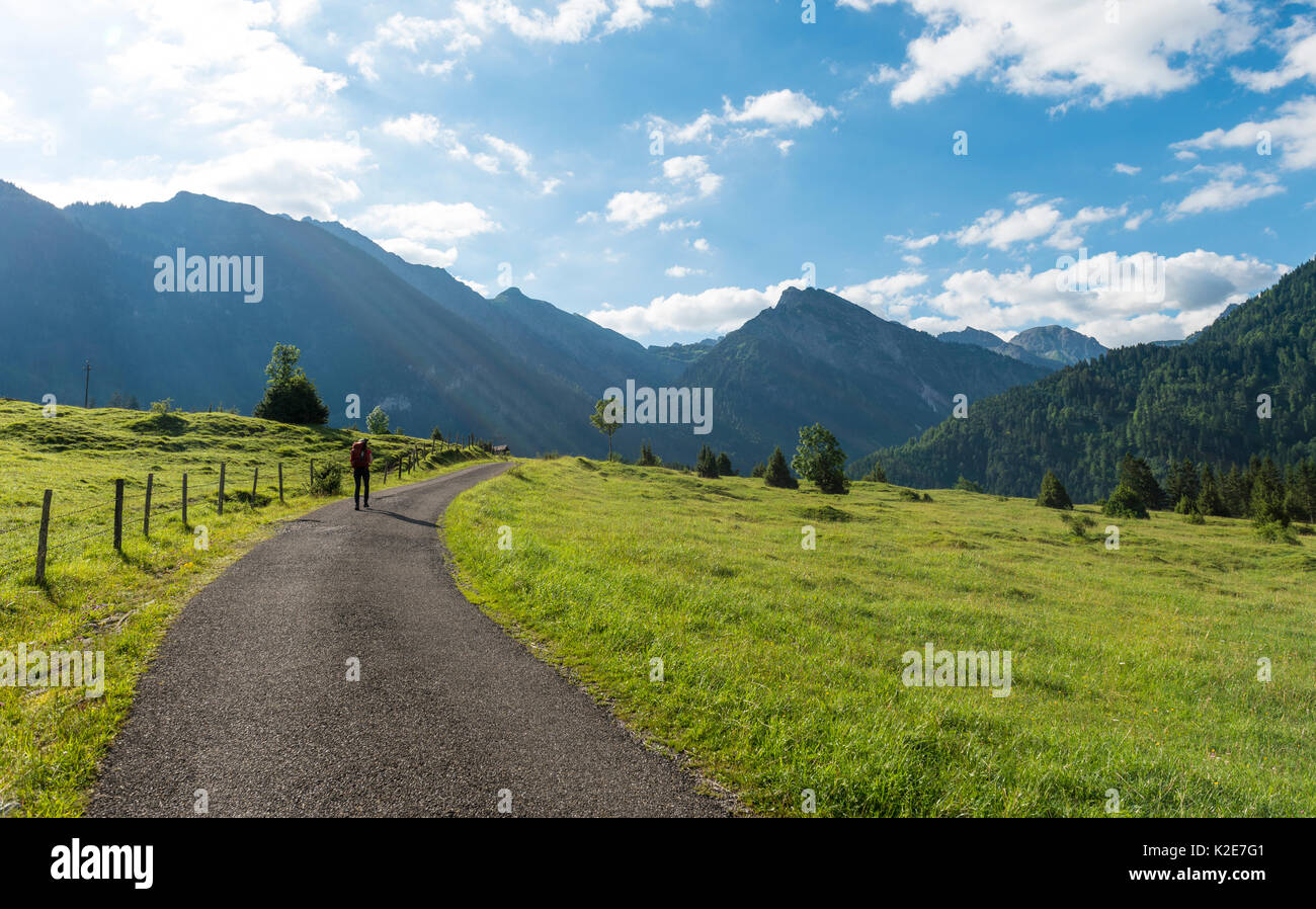 Chemin avec vue sur Alpes d'Allgäu, Bad Hindelang, Allgäu, Bavière, Allemagne Banque D'Images