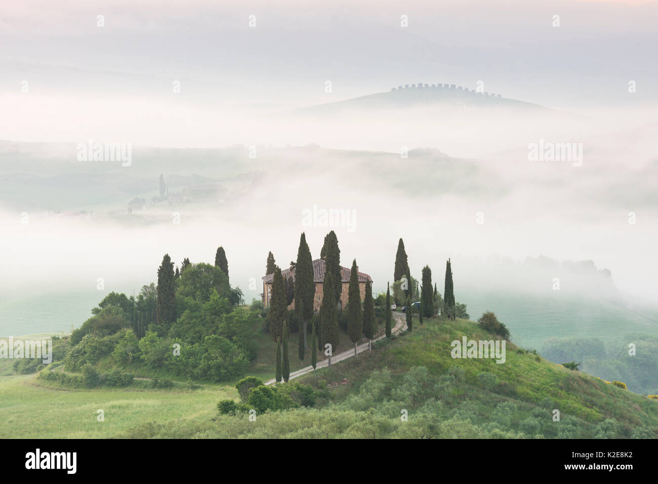 Podere Belvedere, seul homestead, Misty mood, San Quirico d'Orcia, Val d'Orcia, Toscane, Italie Banque D'Images