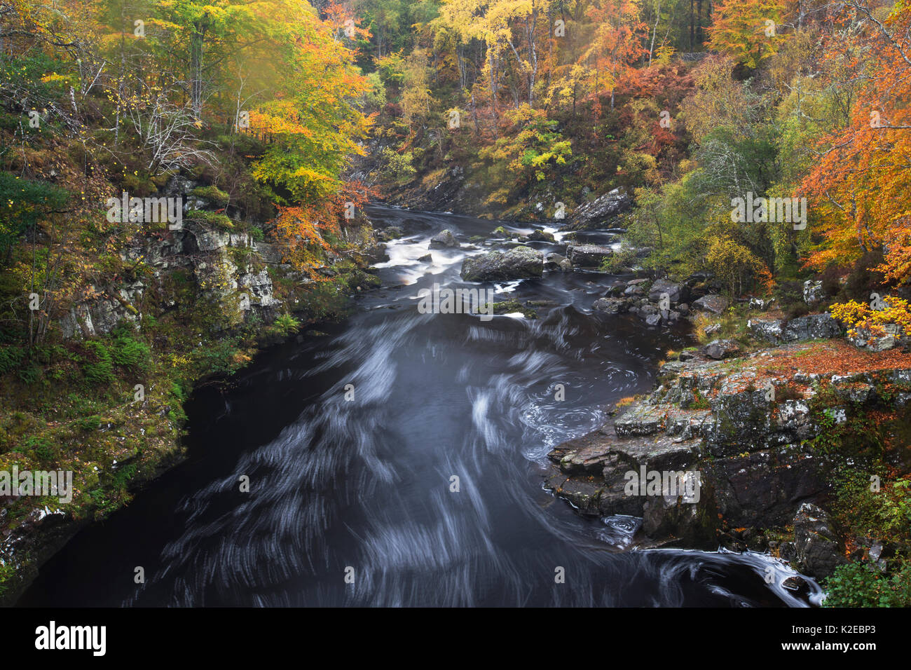 Rivière Blackwater en automne, Ross-shire, Highlands, Scotland, UK, octobre 2013. Banque D'Images
