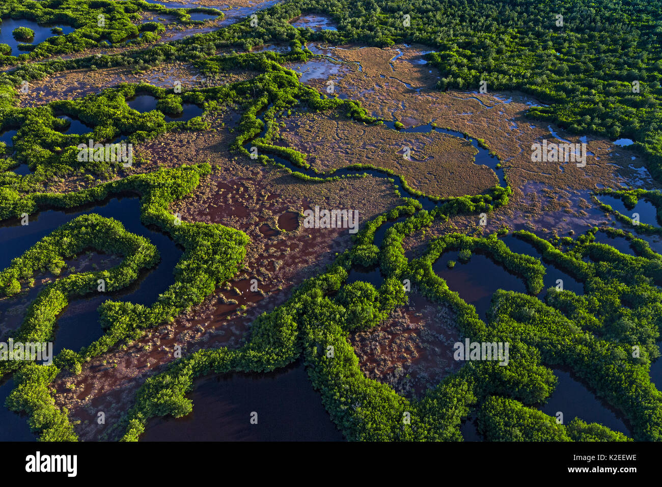 Le Parc National des Everglades, vue aérienne de zones humides, Floride, États-Unis, janvier. Banque D'Images