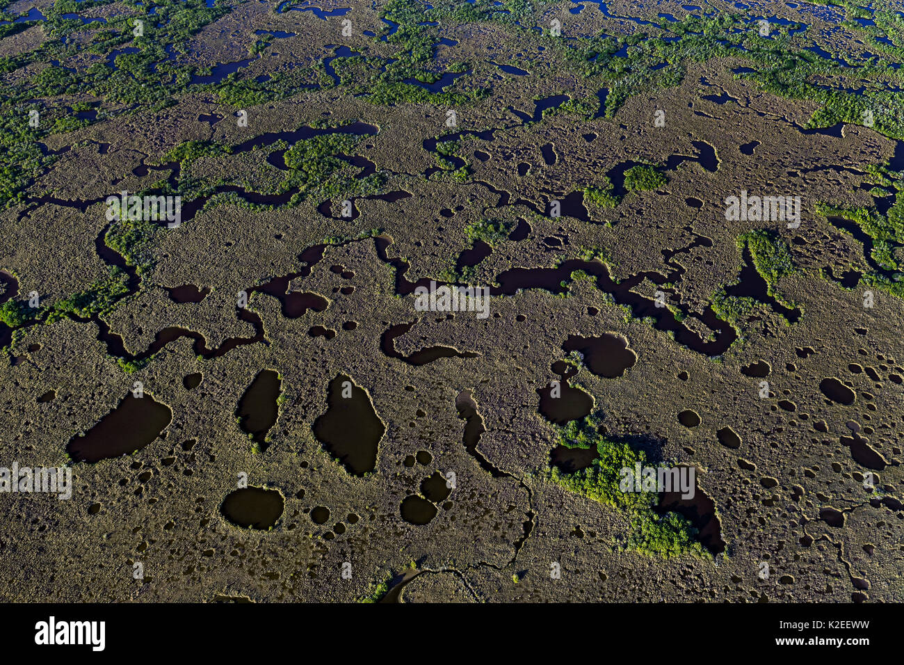 Le Parc National des Everglades, vue aérienne de zones humides, Floride, États-Unis, janvier. Banque D'Images