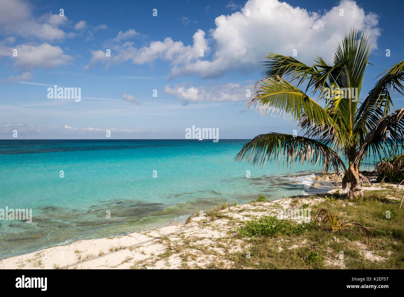Le calme de la plage et de la mer avec un bateau au loin, au Sud Bimini, Bahamas. Le Bahamas National Sanctuaire de requins, à l'ouest de l'océan Atlantique. Banque D'Images