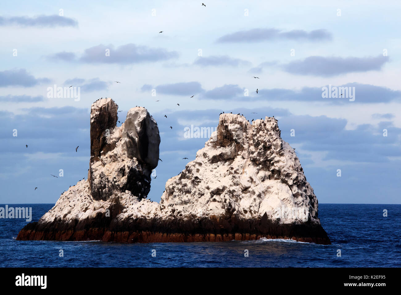 Roca Partida Islet, Réserve de biosphère de l'archipel de Revillagigedo / Archipel de Revillagigedo Site du patrimoine naturel mondial de l'UNESCO (Socorro Islands), l'océan Pacifique, l'ouest du Mexique, Janvier Banque D'Images