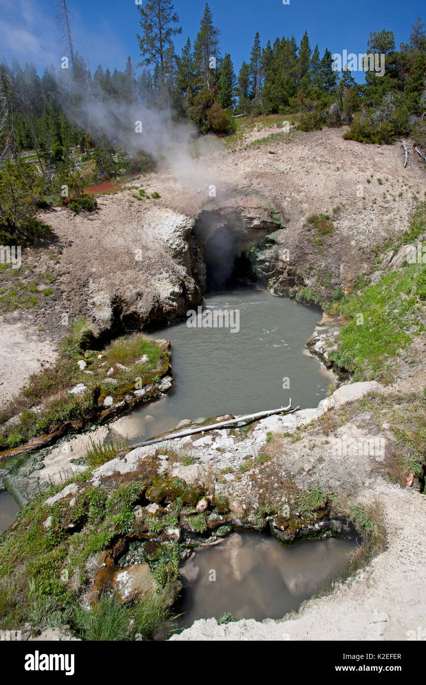 Dragons de la bouche, région du volcan de boue de printemps, Hayden Valley, le Parc National de Yellowstone, Wyoming, USA. Juin 2015 Banque D'Images Dragons de la bouche, région du volcan de boue de printemps, Hayden Valley, le Parc National de Yellowstone, Wyoming, USA. Juin 2015 Banque D'Images