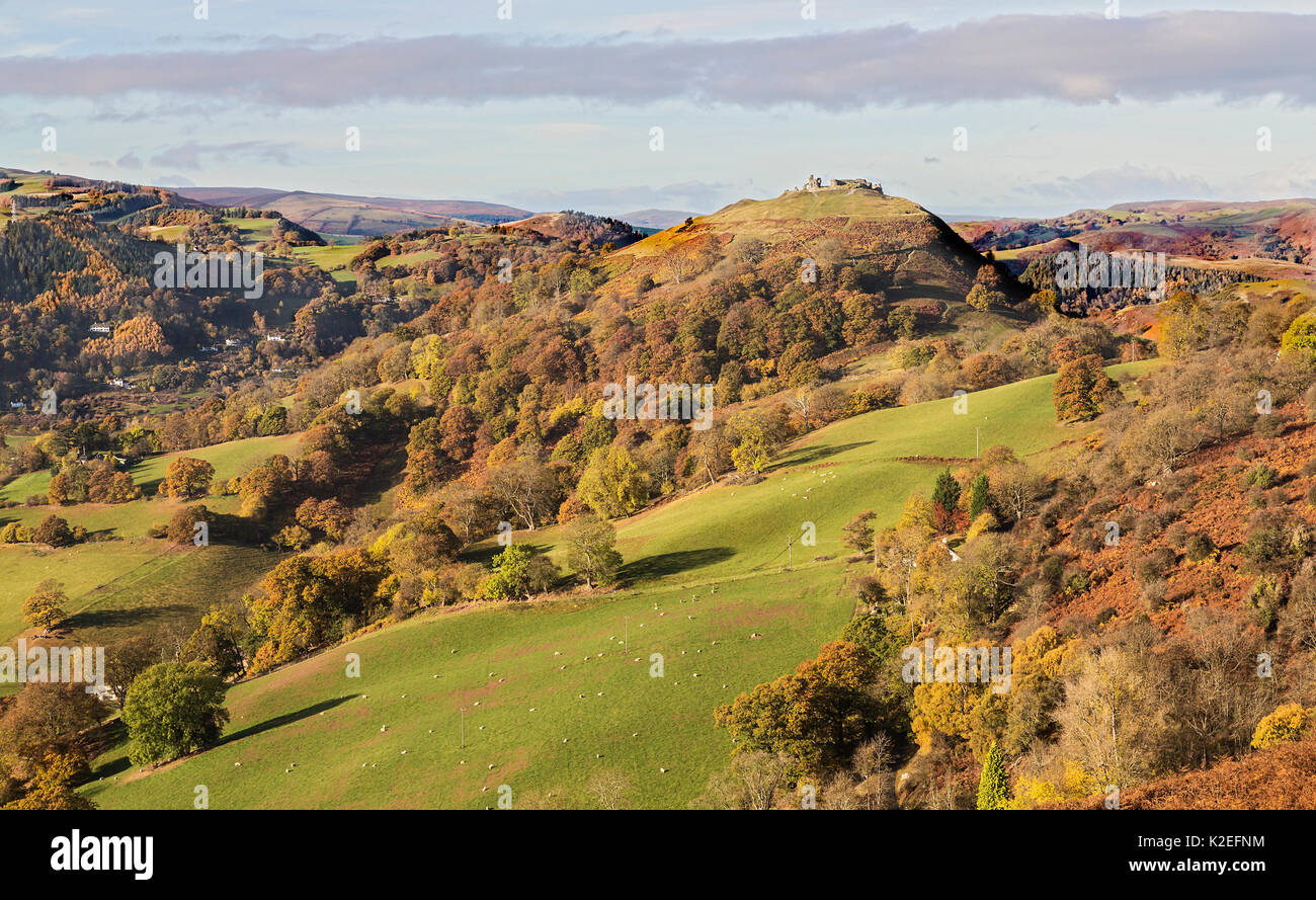 Vue ouest du Panorama à pied sur l'Offa's Dyke Path sur Ruabon montagne près de Llangollen avec Castell Dinas Bran en haut de la colline sur la droite dans le Nord du Pays de Galles, Royaume-Uni, novembre 2016. Banque D'Images