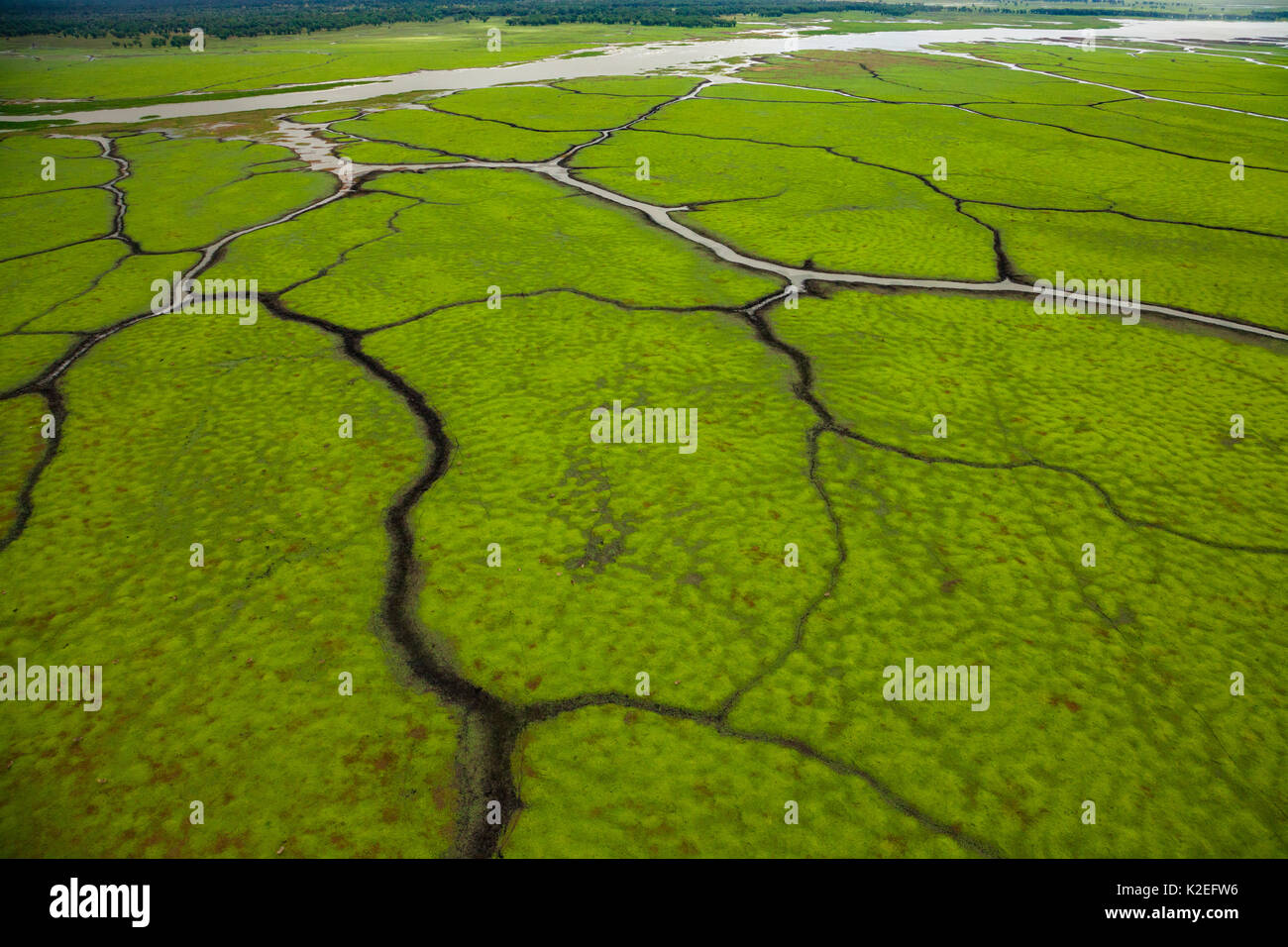 Vue aérienne de satellite sur la plaine de Gorongosa National Park, au Mozambique. Juillet 2014 Banque D'Images