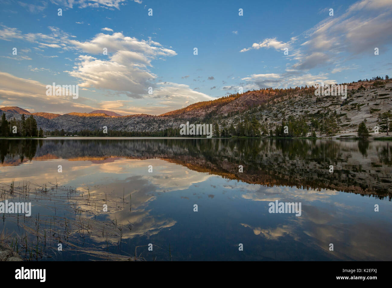 Alpine Lake dans l'Hetch Hetchy Région de Yosemite National Park, California, USA. Banque D'Images