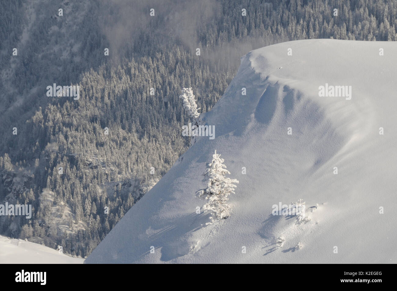 Paysage alpin après neige fraîche, Hauteluce, Savoie, France, février 2013. Banque D'Images