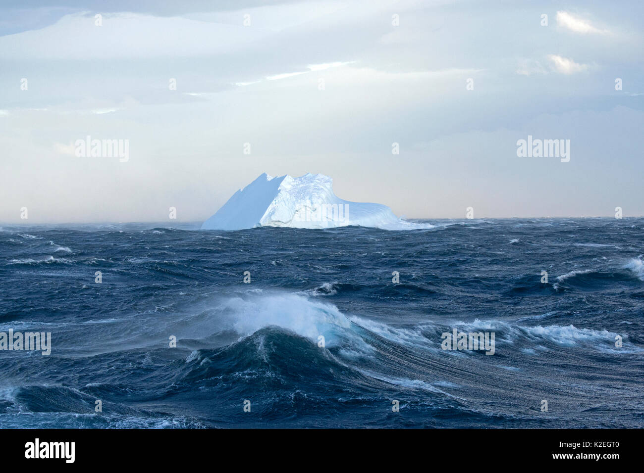 Iceberg dans une mer difficile, détroit de Bransfield, Péninsule Antarctique, l'Antarctique. Décembre 2015. Banque D'Images