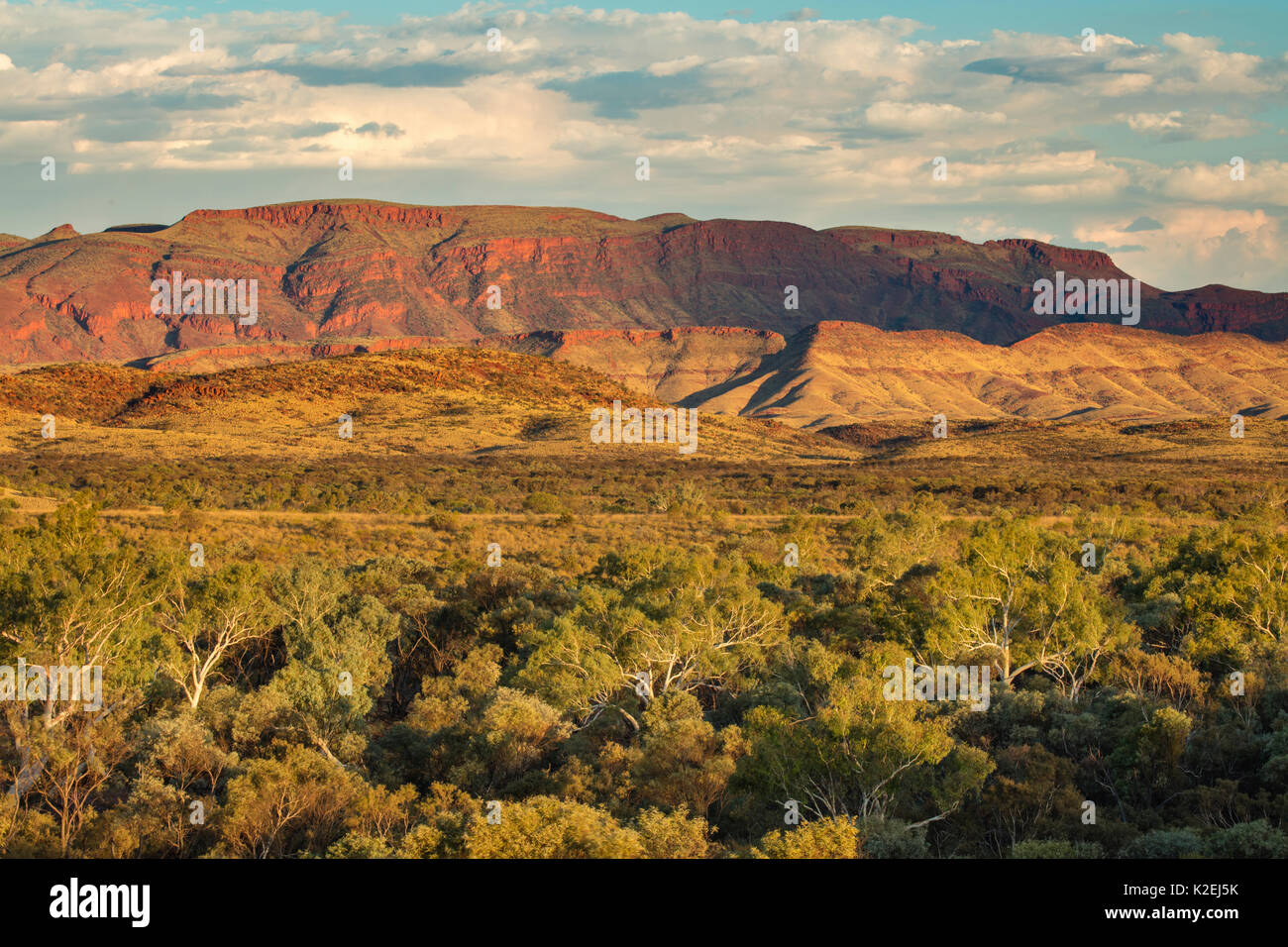 Paysage de Pilbara, Australie de l'Ouest, décembre 2015. Banque D'Images