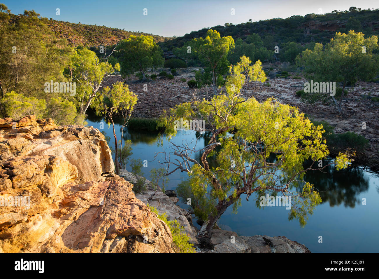 La première lumière sur le bush à Ross Graham Lookout, Murchison River Gorge, le Parc National de Kalbarri, dans l'ouest de l'Australie, décembre 2015. Banque D'Images