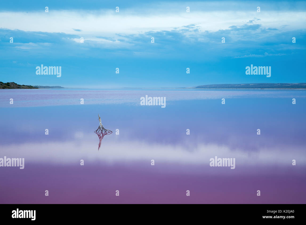 Lagon rose à Port Gregory, l'ouest de l'Australie, décembre 2015. Banque D'Images