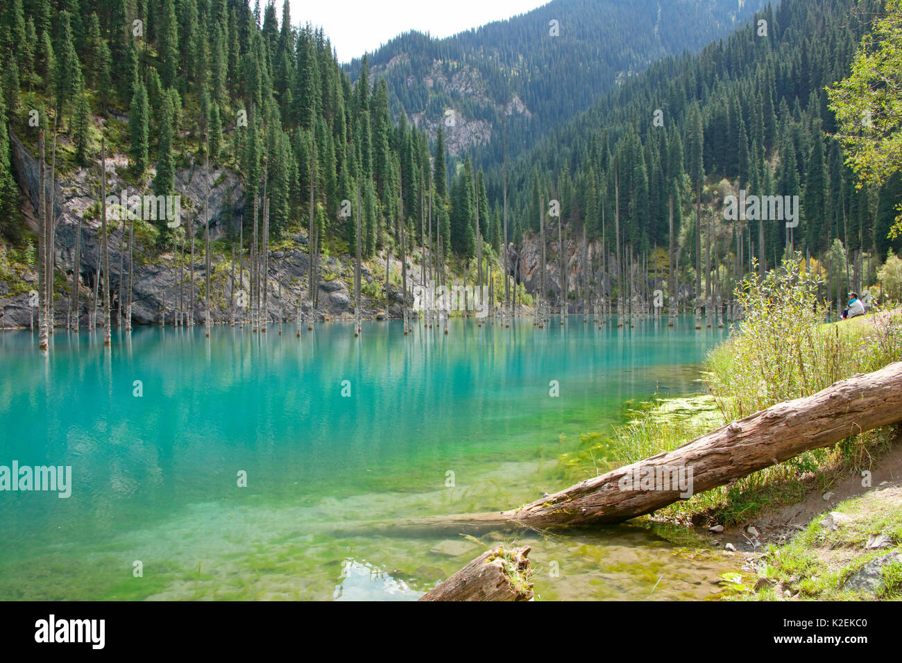 Arbres Lac Banque De Photographies Et D images Haute R solution Alamy