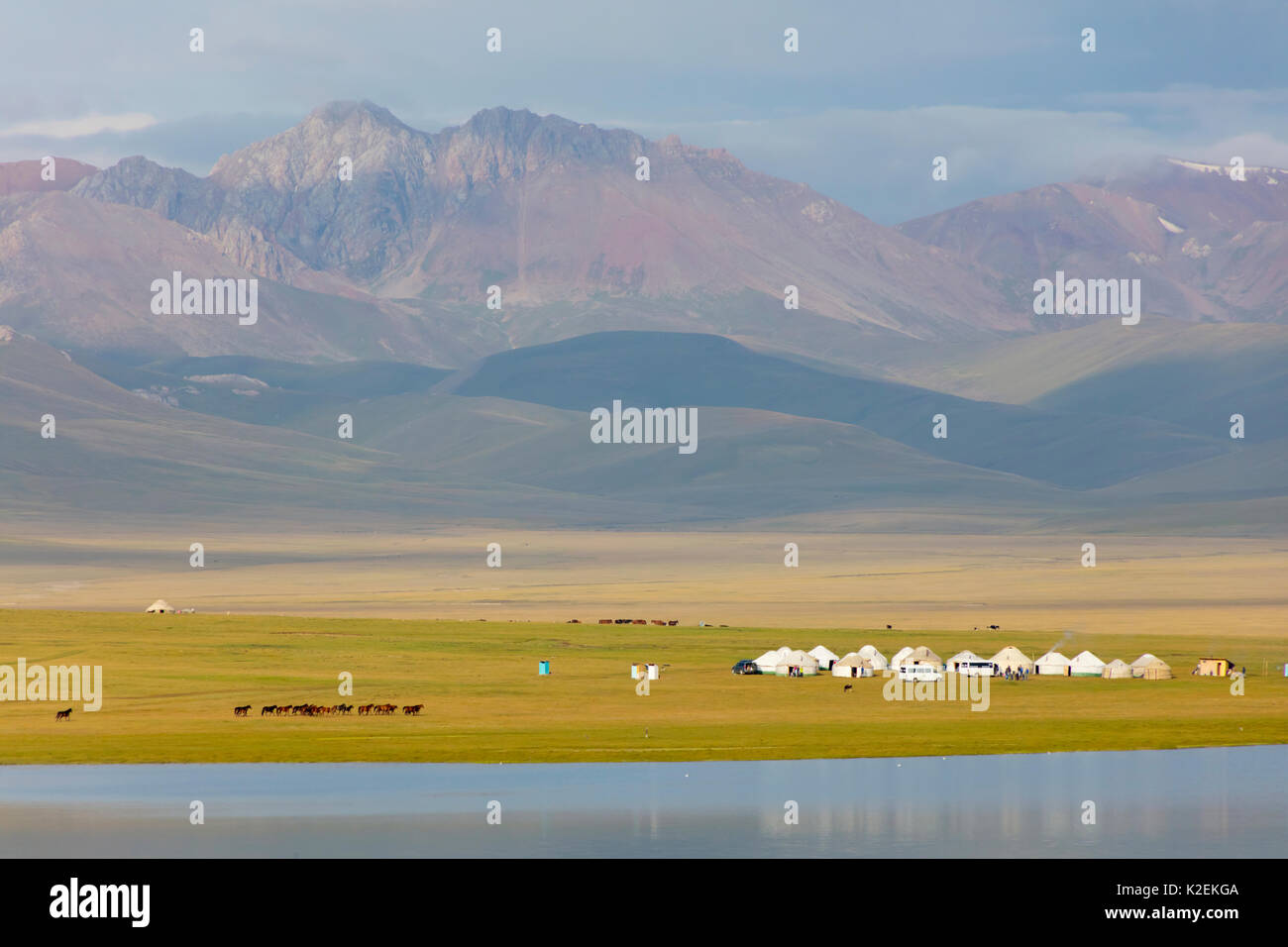 Les yourtes et les chevaux par chanson Kul Lake, au Kirghizistan. Août 2016. Banque D'Images Les yourtes et les chevaux par chanson Kul Lake, au Kirghizistan. Août 2016. Banque D'Images